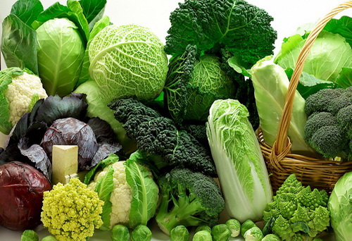 Польза овощей: лекарство из огорода